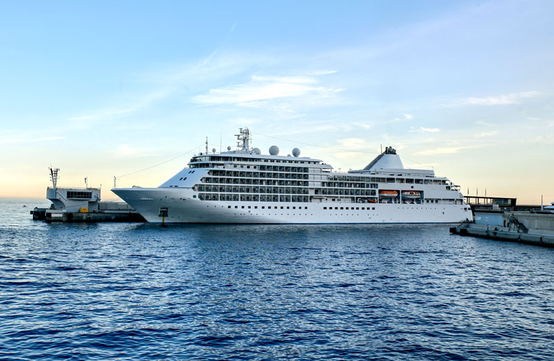 Cruise Lines & Leisure Travel